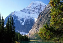 热血沸腾的足球对决成为焦点话题