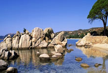 勇士大胜！金州战队击败对手取得连胜